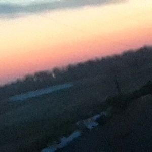 Meet your Posher, Damaris